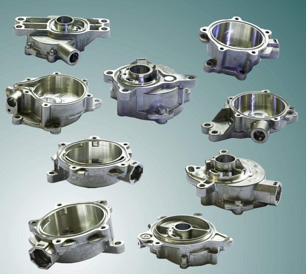 真空泵体压铸件(vacuum pump housing)