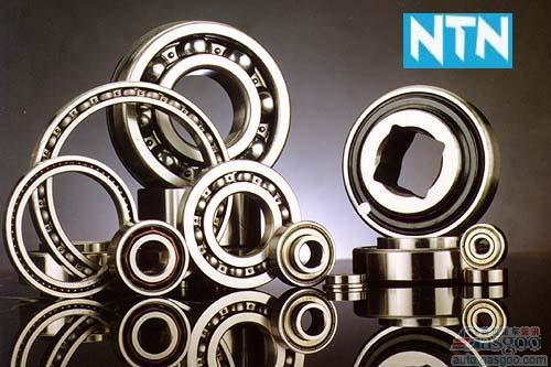 恩梯恩公司2012-2013财年上半年亏损2200万美元