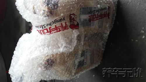 上海养车无忧网走红，揭密别克车主如何自助保养？