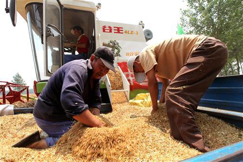 奇瑞农业装备打造中国公益收割“第一队”