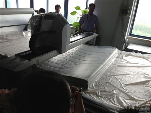 力克的多元化汽车内饰裁剪