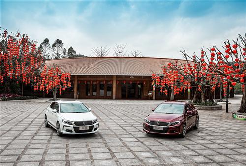 豪华两厢车新选择 特立先型DS 4S